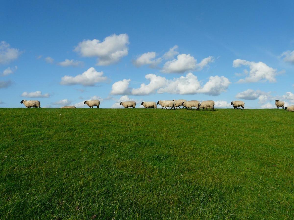 Nordsee Ferienwohnung Nord Dornumersiel Kültér fotó
